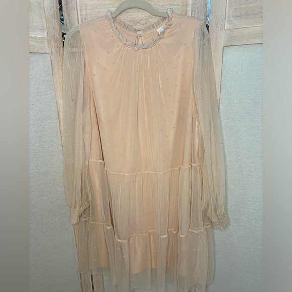 Blush Tulle Tiered Sheer Sleeve Babydoll Dress NWOT - Picture 5 of 16